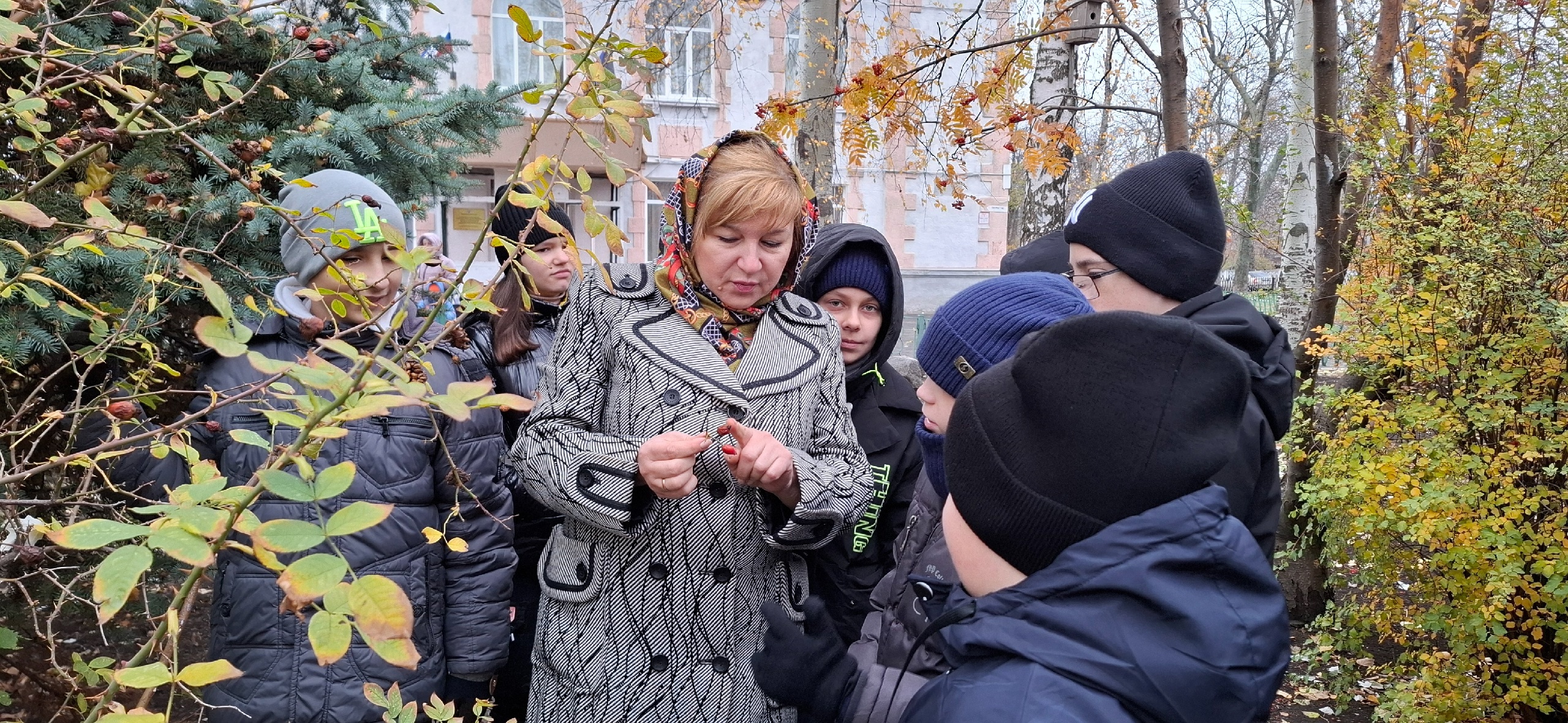 Экскурсия по теме «Осенние явления в жизни растений».